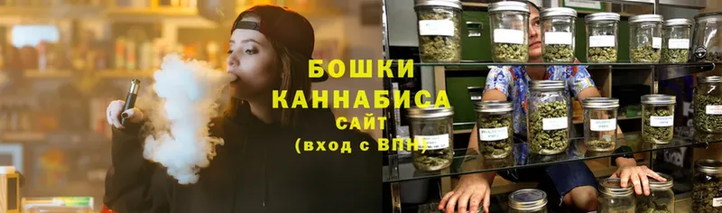 MEGA вход  купить закладку  Ряжск  shop наркотические препараты  Шишки марихуана план 